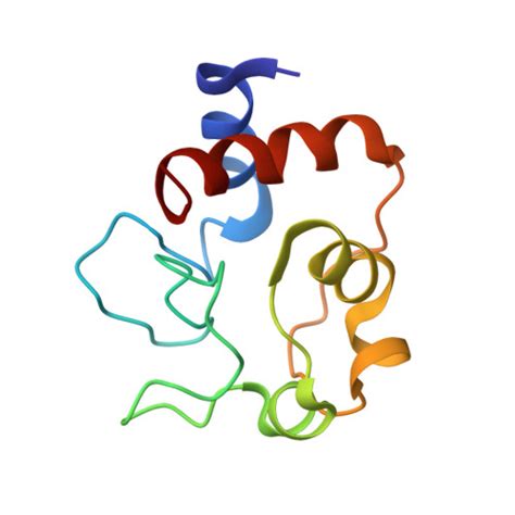 Gene P Protein Cycs Overview Cansar Ai