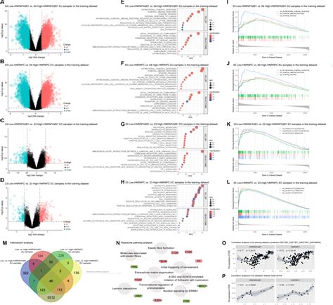 Functional Annotation Of Hnrnpa B And Hnrnpc In Ems A D