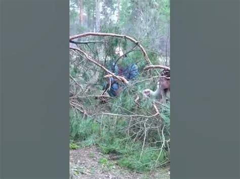 Маскировка - YouTube