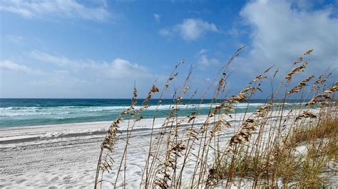 THE 10 BEST Hotels in Pensacola Beach, FL for 2023 (from $142 ...