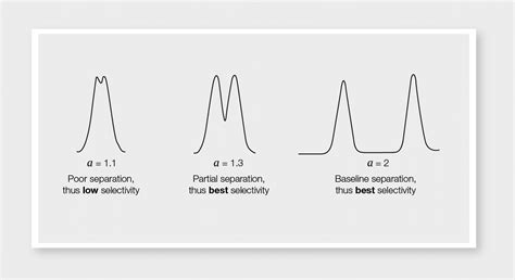 How To Choose A Stationary Phase Optimize Selectivity And Get Better Resolution In Chromatography