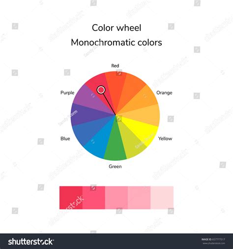 Vector Illustration Color Circle Infographics Palette Stock Vector ...