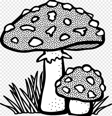 Mushroom Drawing Line Art Fungus Mushroom Monochrome Color Png PNGEgg