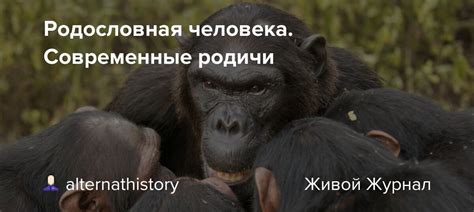 Родословная человека. Современные родичи: alternathistory — LiveJournal