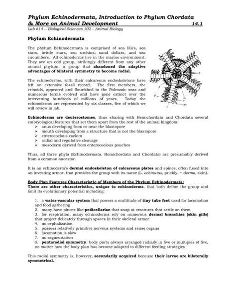 Lab 14 Phylum Echinodermata Phylum Chordata Biosciweb Net