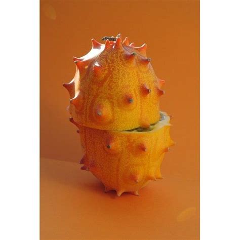 Horned Jelly Melon Seeds, Cucumis Metuliferus, Spiked Melon, African ...