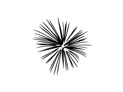 Black And White Fireworks Clip Art at Clker.com - vector clip art ...