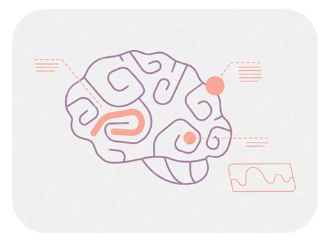 Analyse Des Zones Cérébrales Infographie Médicale De La Fonction