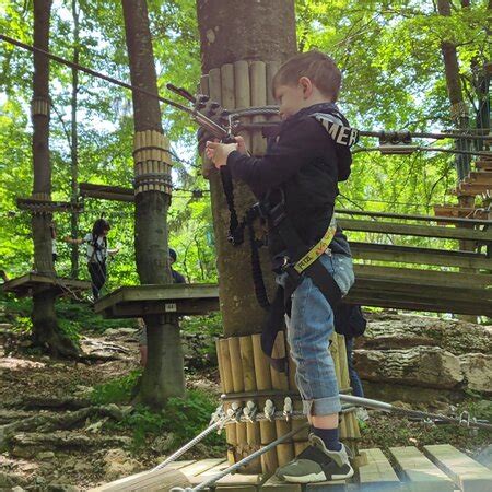 Boscopark Parco Avventura Bosco Chiesanuova Lo Que Se Debe Saber