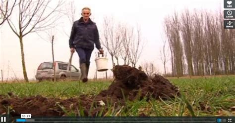 MOLLEN.org – Alles over mollen! » Nieuws