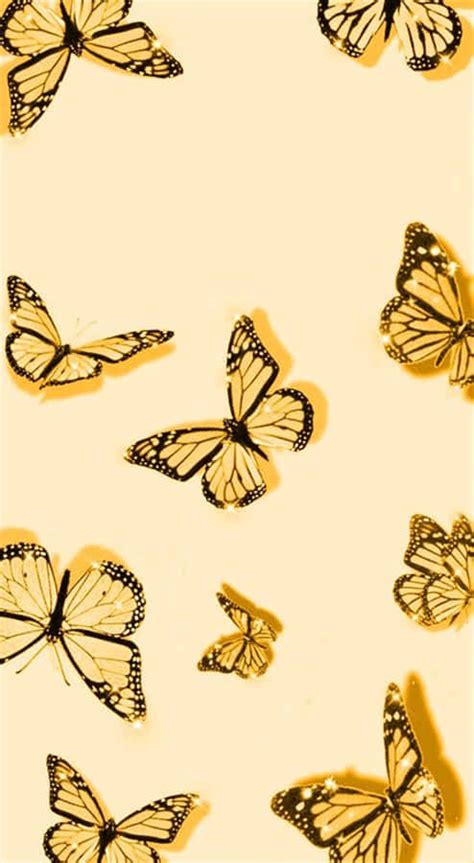 [100+] Cute Yellow Butterflies Wallpapers | Wallpapers.com