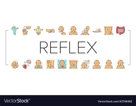 Reflex Of Human Neurology System Icons Set Vector Image