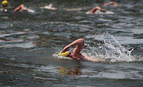 Hundreds Take The Challenge At The Great Chesapeake Bay Swim Broadneck Md Patch