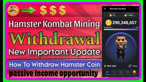 How To Withdraw Hamster Kombat Coins For Passive Income Opportuniies