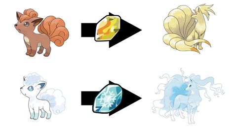 Accelgor Evolution Chart