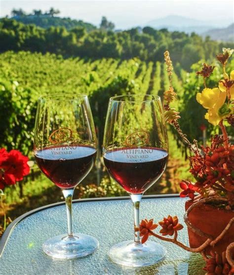 10 Best San Diego Wineries You MUST Try If You Love Wine