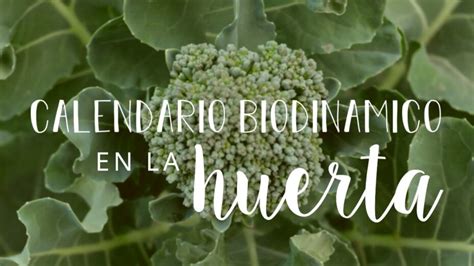 Calendario Biodinámico en la Jardinería Descubre qué es y cómo