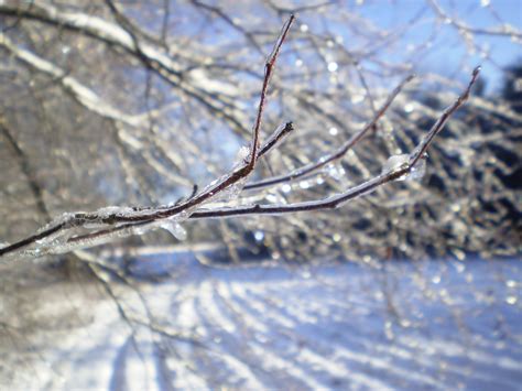 5 Things That Cause Icy Surfaces in Winter