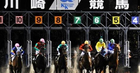 川崎競馬【🔥👊🏇勝負レース🏇👊】【10r】疾風怒濤賞（発走時刻1940）｜さやだま