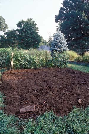 8 Ways To Make Your Garden Soil More Viable Bees And Roses Gardening