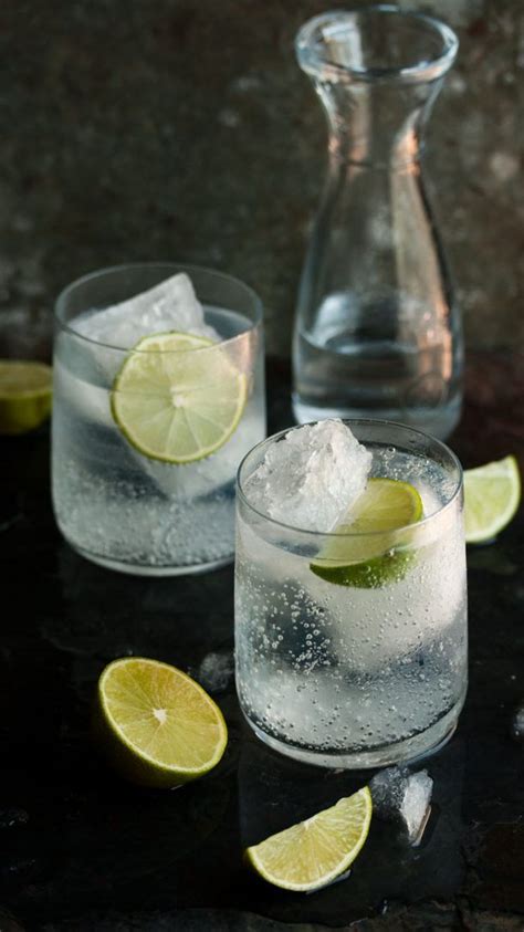 C Mo Preparar El Gin Tonic Perfecto Belleza Saludable