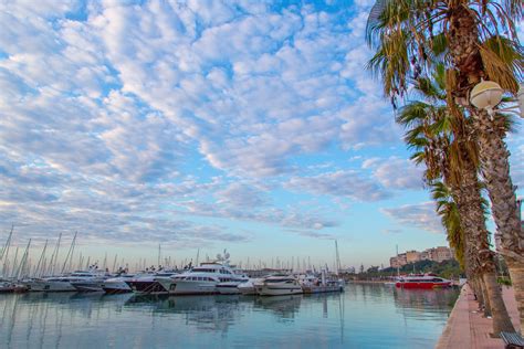 alicante spain  stock photo public domain pictures