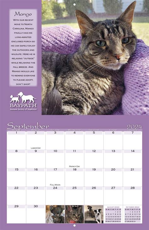 Baypath Humane Society 2025 Calendar Yearbox Calendars