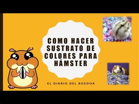 Como Hacer Sustrato De Colores Para H Msters Hamsters Sustrato