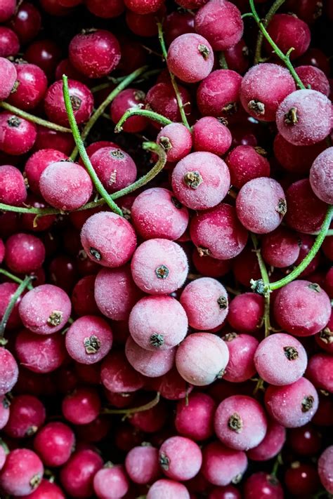 Rezept Eis Aus Gefrorenen Johannisbeeren Selber Machen