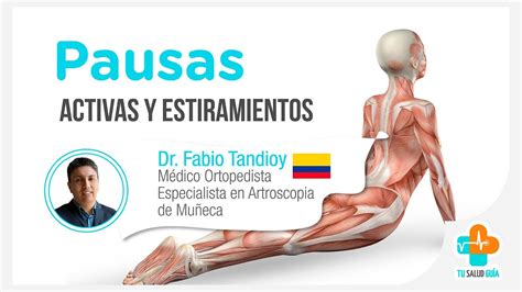 Pausas Activas Y Estiramientos Tu Salud Gu A Youtube