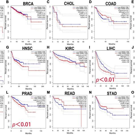 The Prognostic Analysis Of Rrm Expression In Disease Free Survival