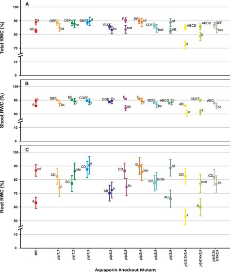 Relative Water Content Rwc Of Individual Plants At 31 Days Old