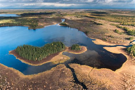 Ontarios Ring Of Fire And Battle Over Its Carbon Rich Peatlands