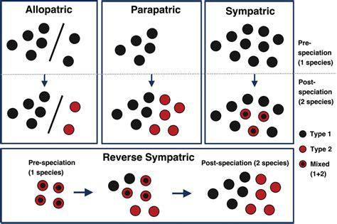 Hypothetical examples illustrating different geographic modes of ...