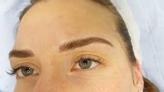 3D Realism Eyebrows Microblading By El Truchan Perfect Definition