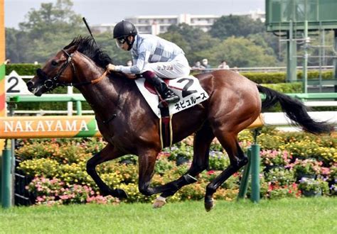 【飯島の土曜競馬コラム・ゆきやなぎ賞】 日刊ゲンダイ競馬