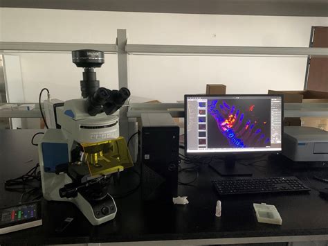 荧光显微镜应用于细胞切片观察应用百科