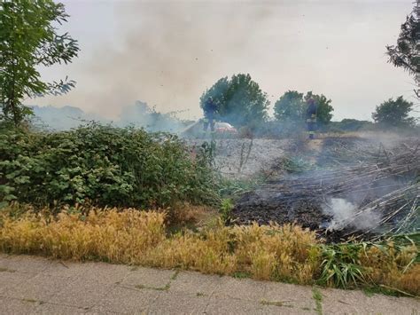 A Fuoco Le Sterpaglie Lungo La Pista Ciclabile Che Porta Ai Cappuccini