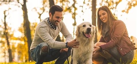 ¿qué Cubre Un Seguro Para Mascotas Mapfre Colombia