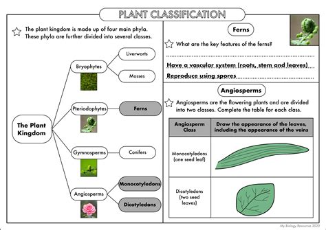 GCSE Biology Classification Worksheet Pack Teaching Resources