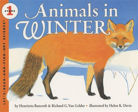 Animals in Winter by Henrietta Bancroft | Goodreads