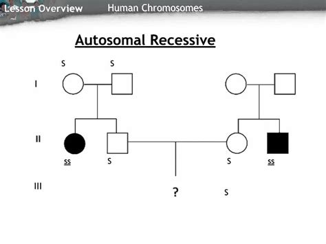 Autosomal Dominant Pedigree Chart Example