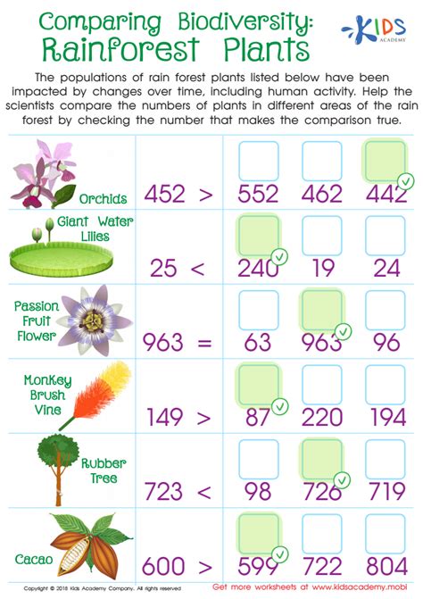 Comparing Biodiversity Rainforest Plants Worksheet Free Printable Pdf