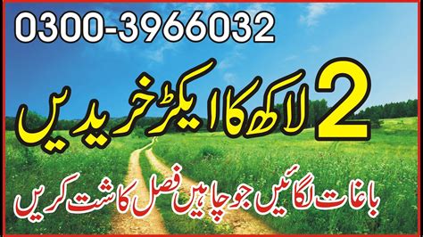 Land For Sale Acer In Noor Pur Thal Khushab