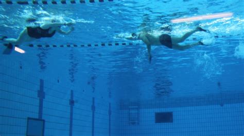 Lyon La Piscine Garibaldi Rouvre Ses Portes Ce Lundi