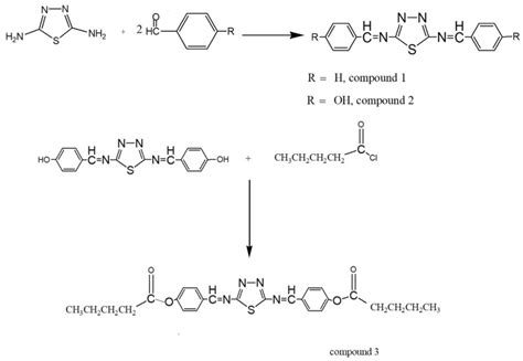 Scheme 1 Synthesis Of Compounds 1 2 From 2 5 Diamino 1 3 4 Thiadiazole