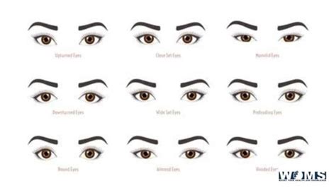 Eye Shape & Vision | Utilization of Eye Shape Chart - WOMS