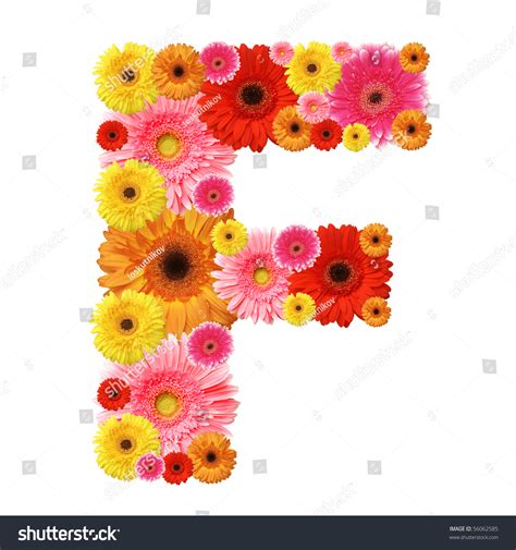 F Flower Alphabet Isolated On White Stock Photo Shutterstock