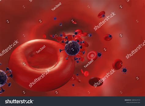 Viral Infection Coronavirus Cells Erythrocytes Bloodstream Stock