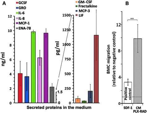 Cytokine Levels In The Cm Of Plx Rad And Their Effect In Vitro On The